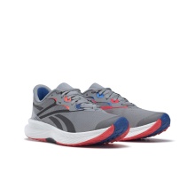 Reebok Lauf-Sportschuhe Floatride Energy 5 2023 grau Herren